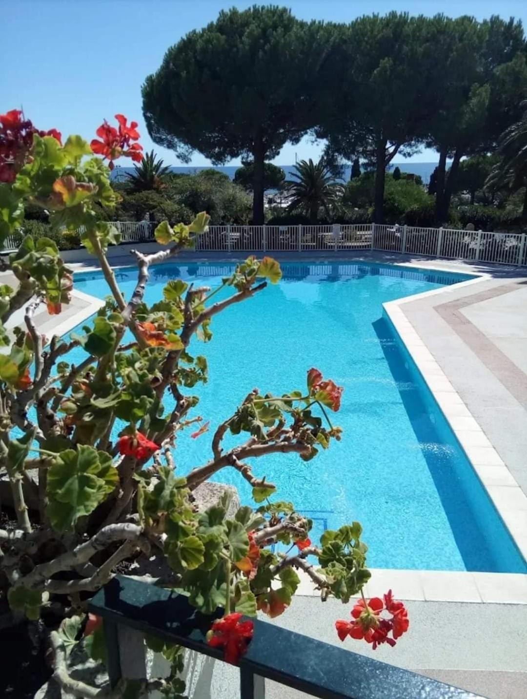 Apartment T2 Bord De Avec Piscine *
